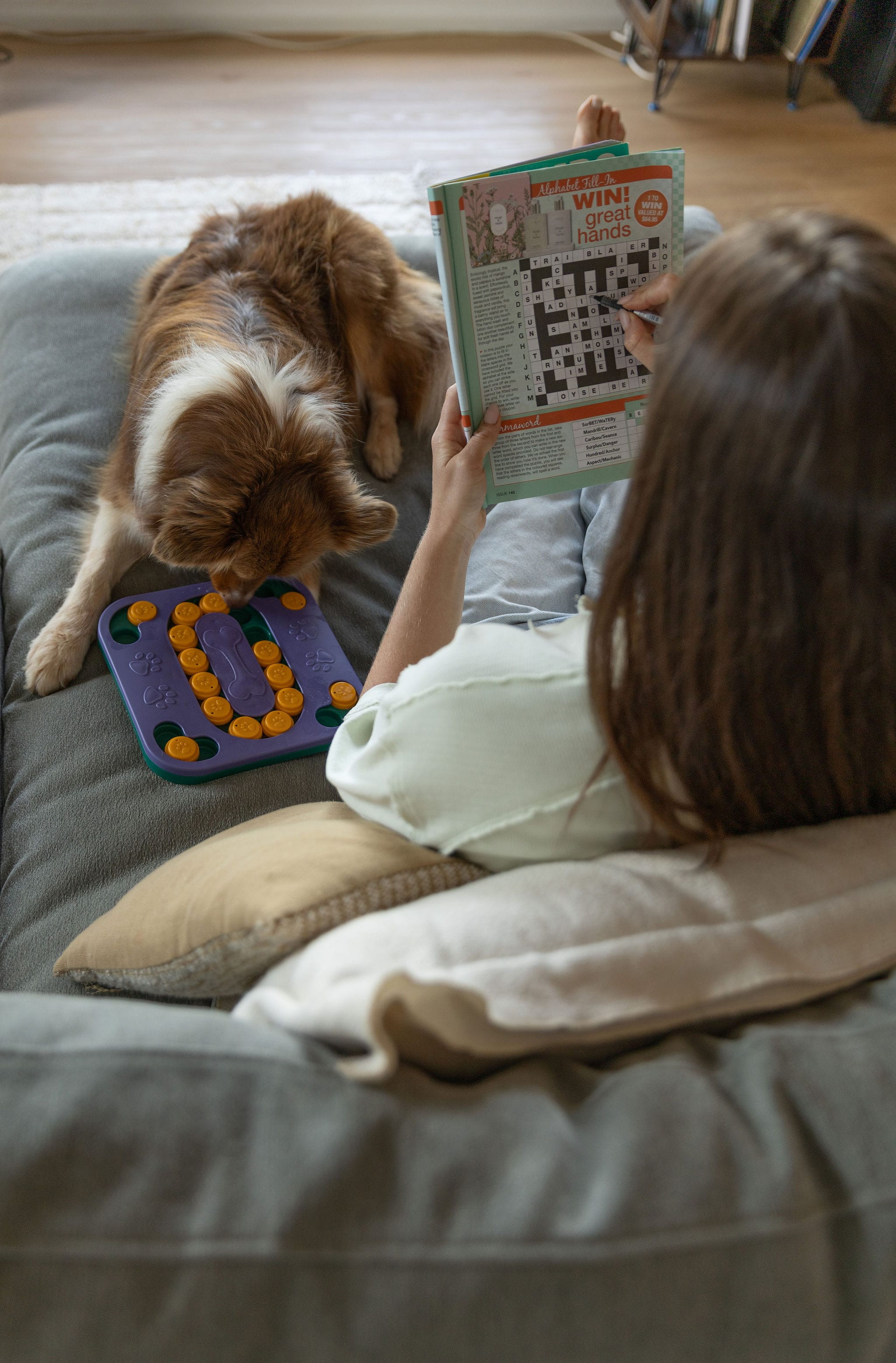 Why Your Dog Is Bored — And What to Do About It