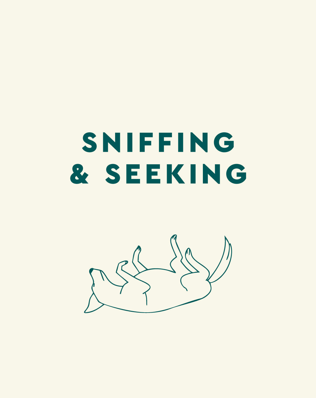Sniffing & Seeking