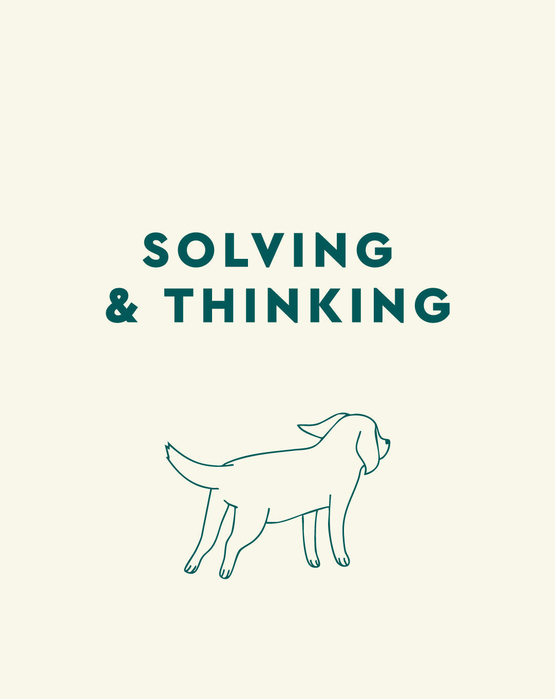 Solving & Thinking