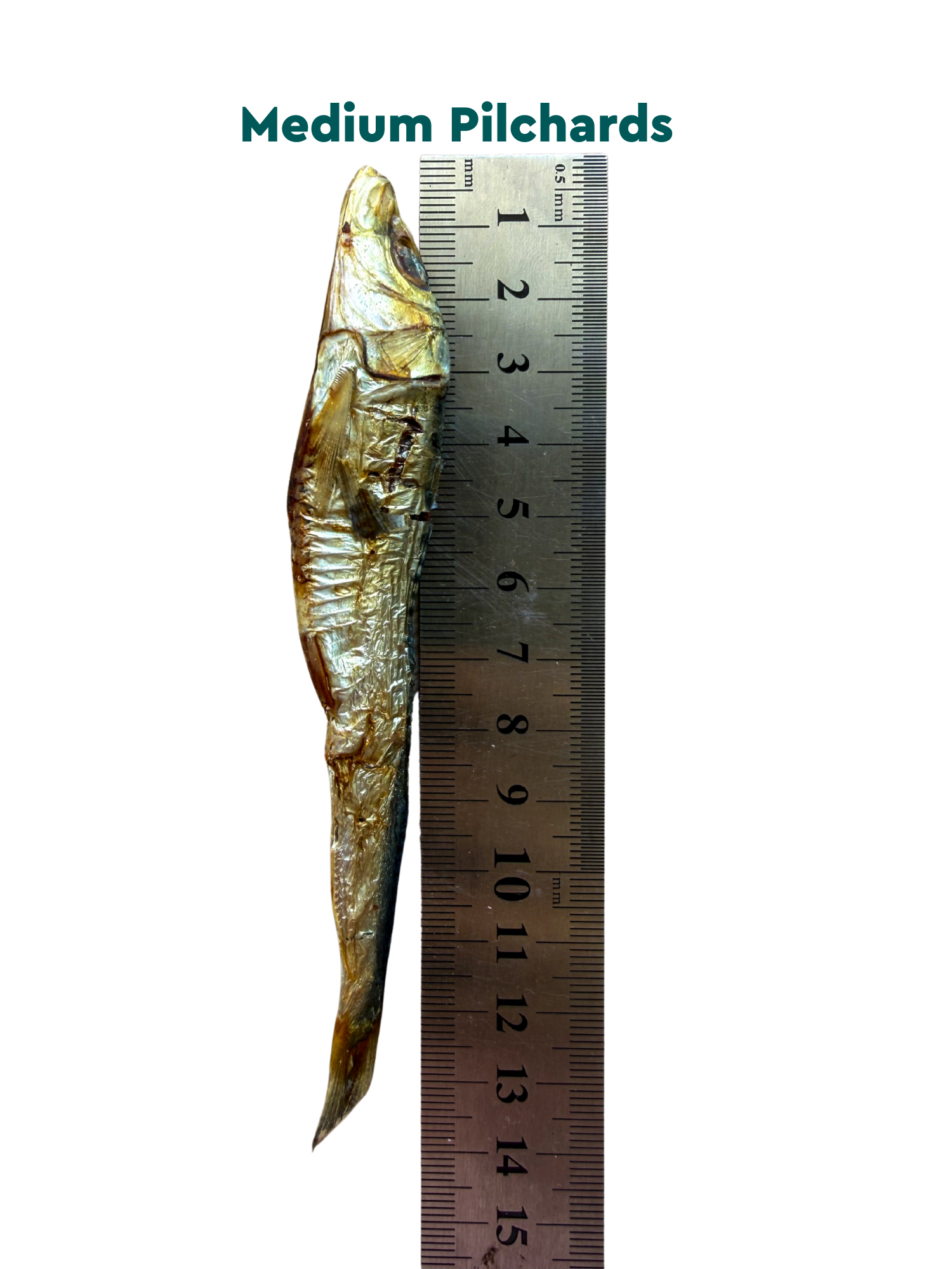 Puppy Ready: Puzzle and Treat Bundle