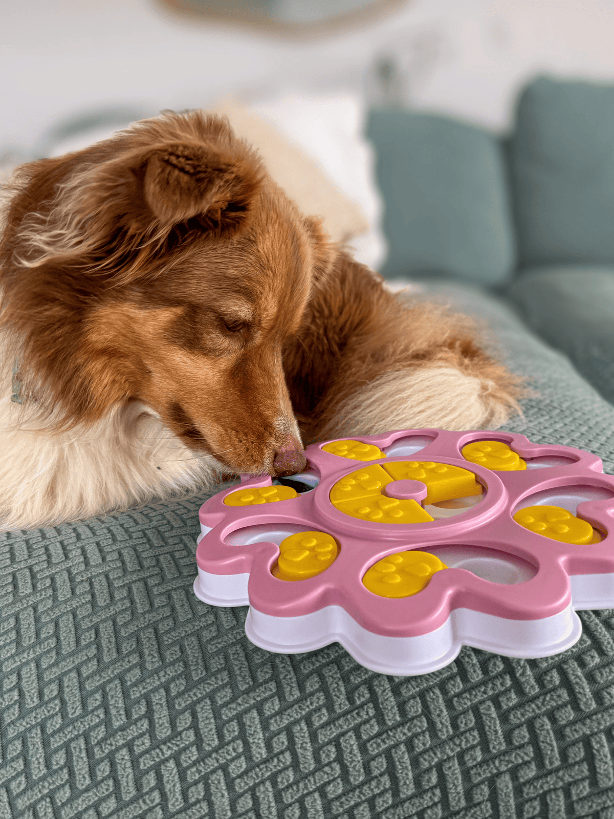 My Store Puppy Dog Puzzle Toy