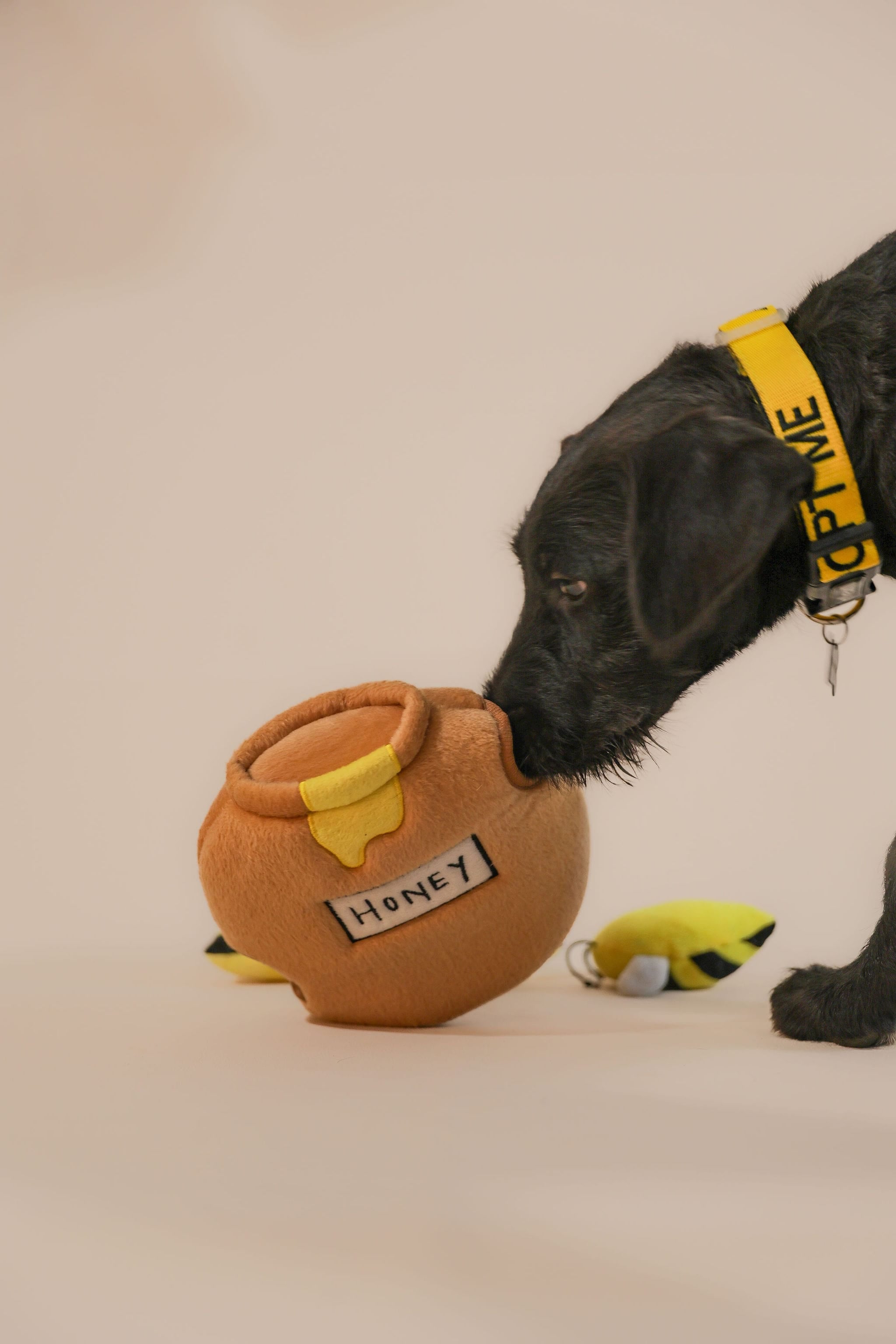 CleverTails Busy Bee Brain Toy for Dogs