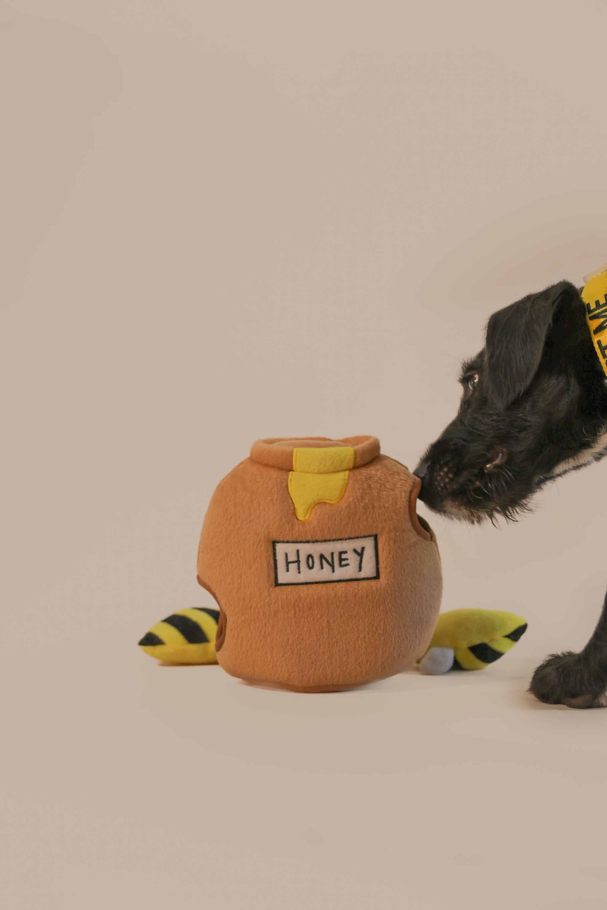 CleverTails Busy Bee Brain Toy for Dogs