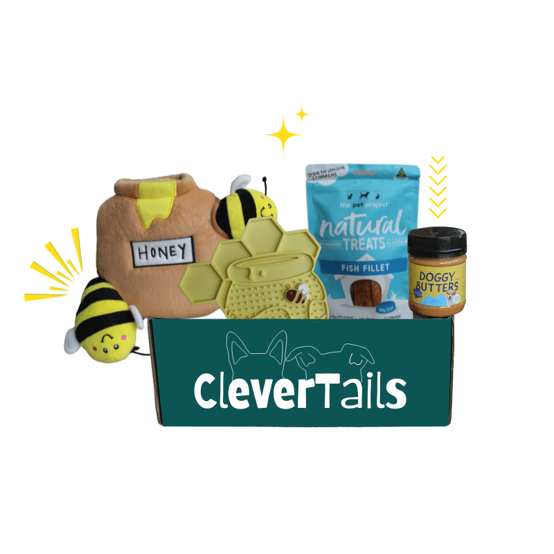 Busy Bee Dog Bundle Box