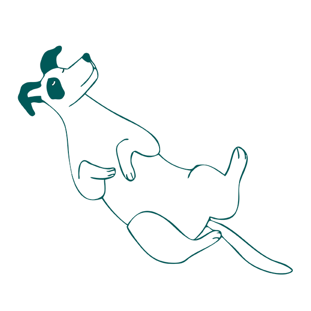 Support your dog’s mental wellbeing through <em>purposeful</em> play