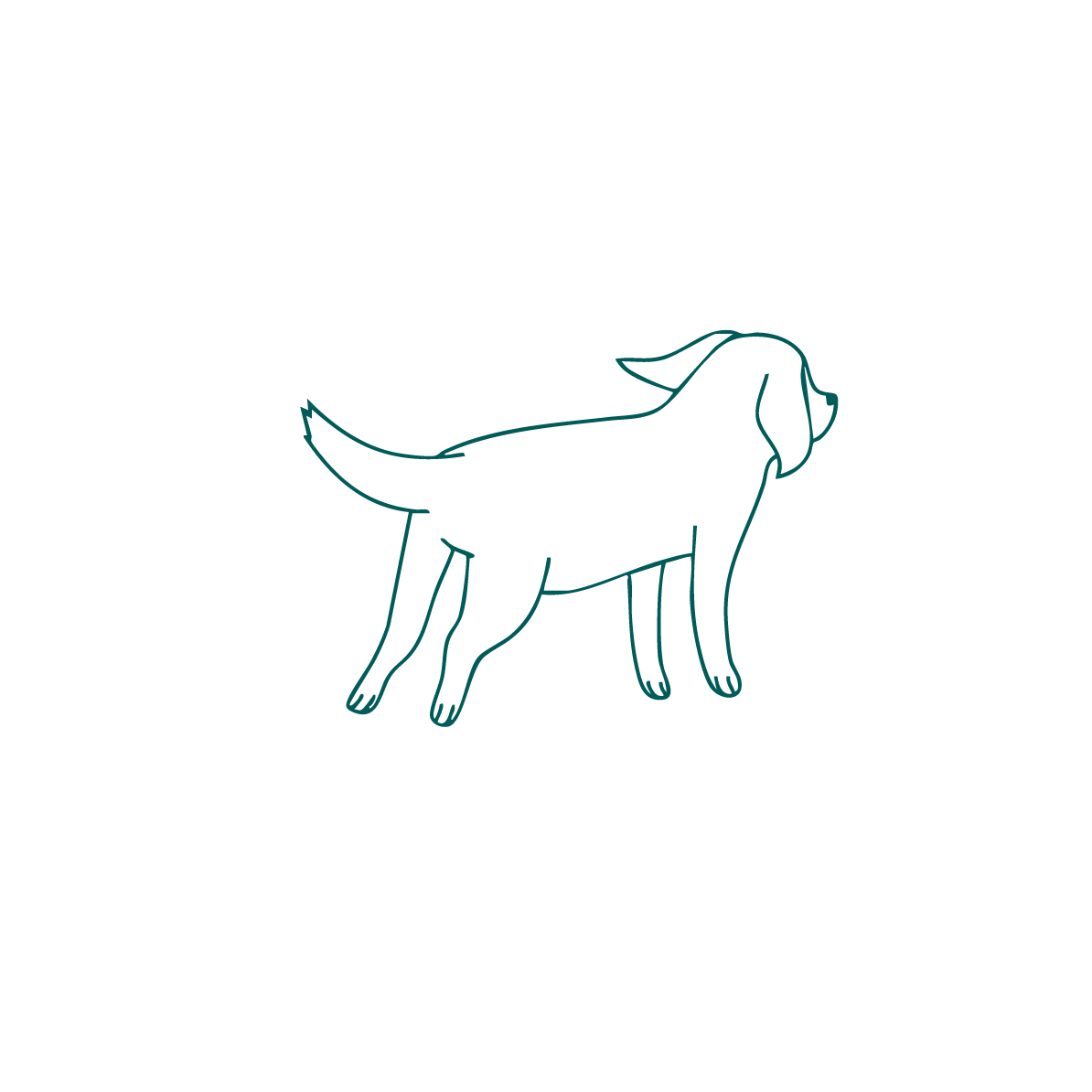 Outline of a dog on a solid green background