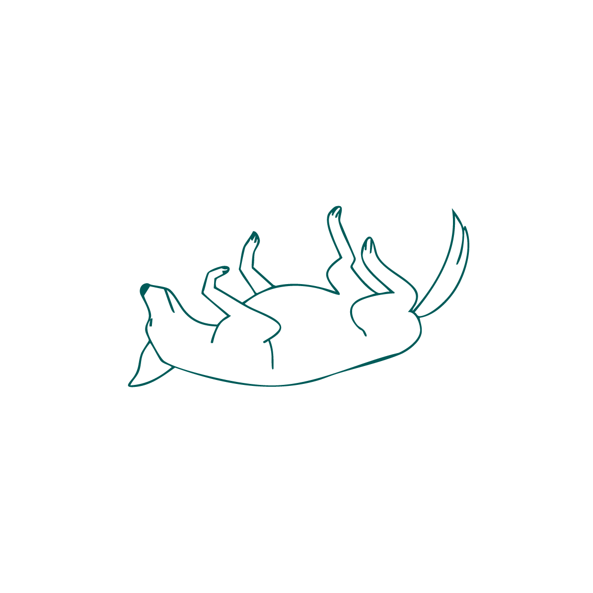 Outline of a crab on a solid green background