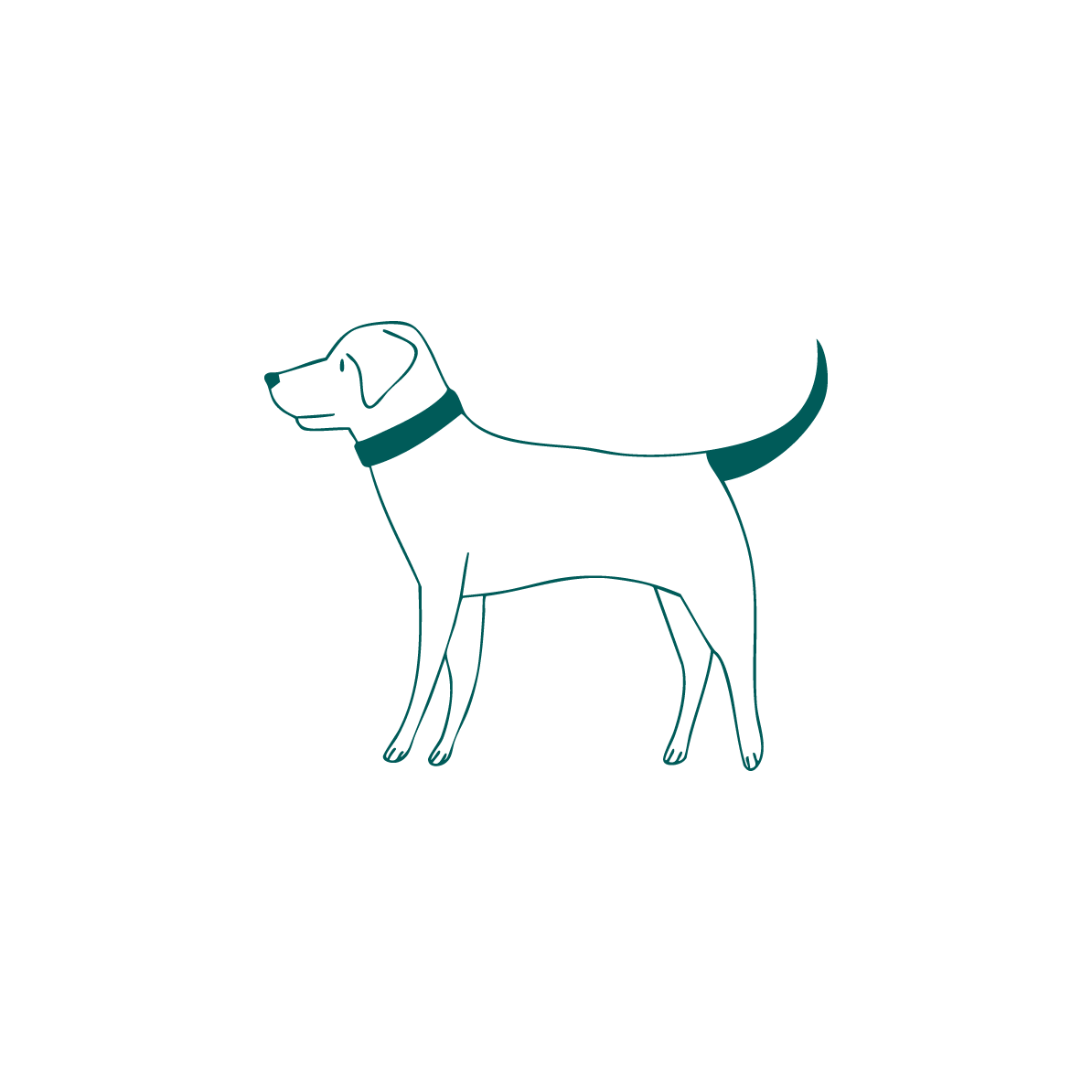 Outline of a dog on a solid green background