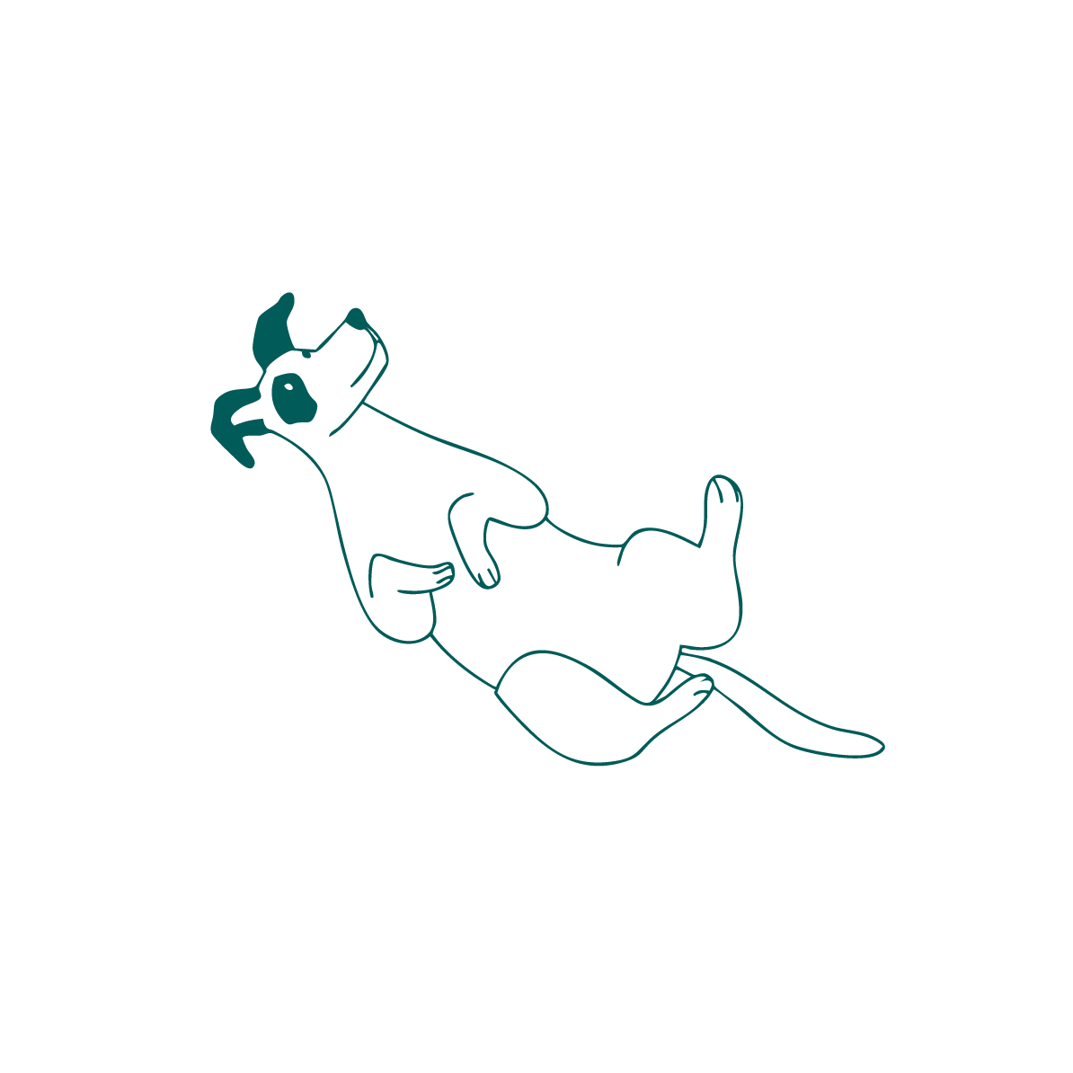 Simple line drawing of a dog on a solid green background