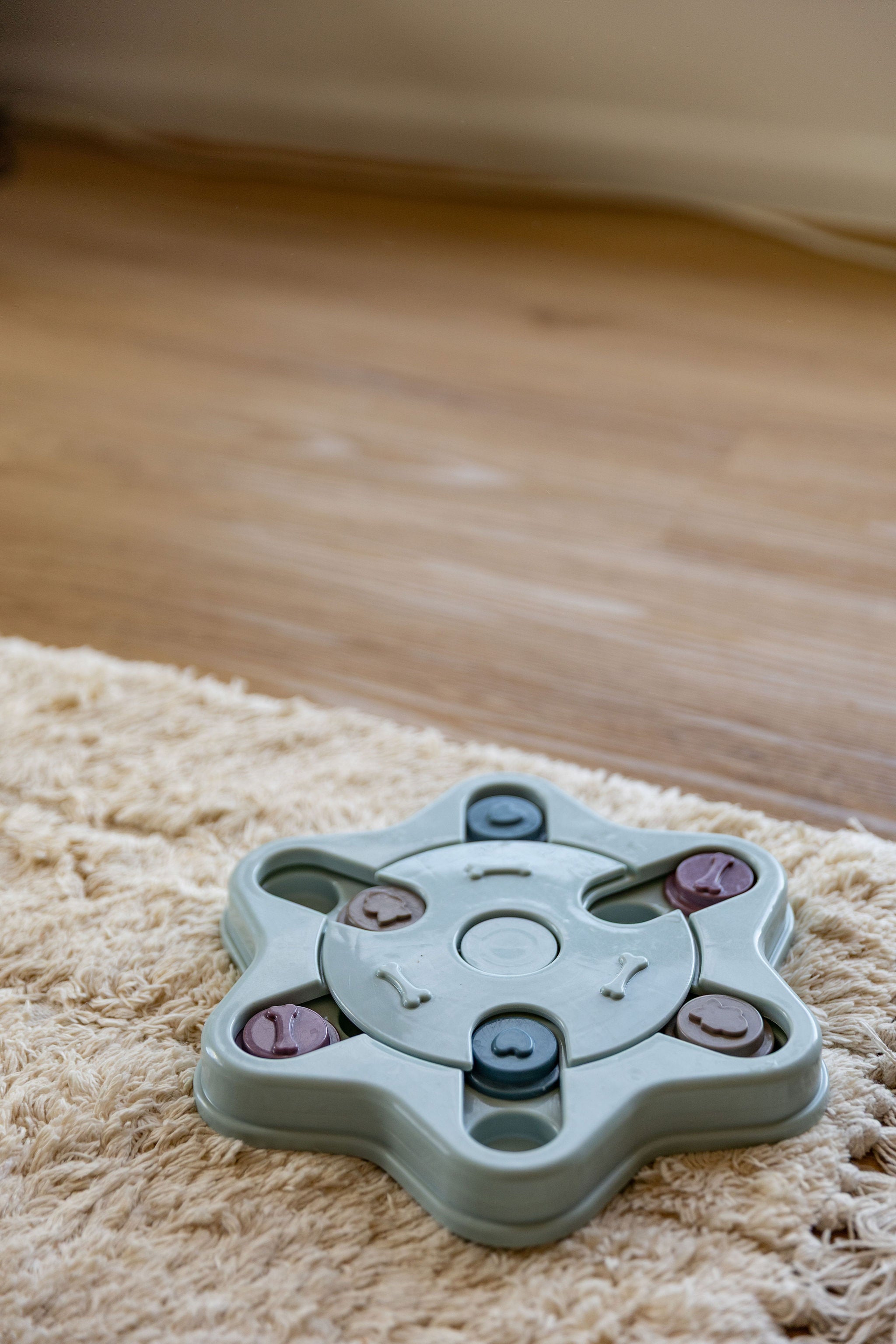 Canine Einstein — Level 3 Advanced Dog Puzzle