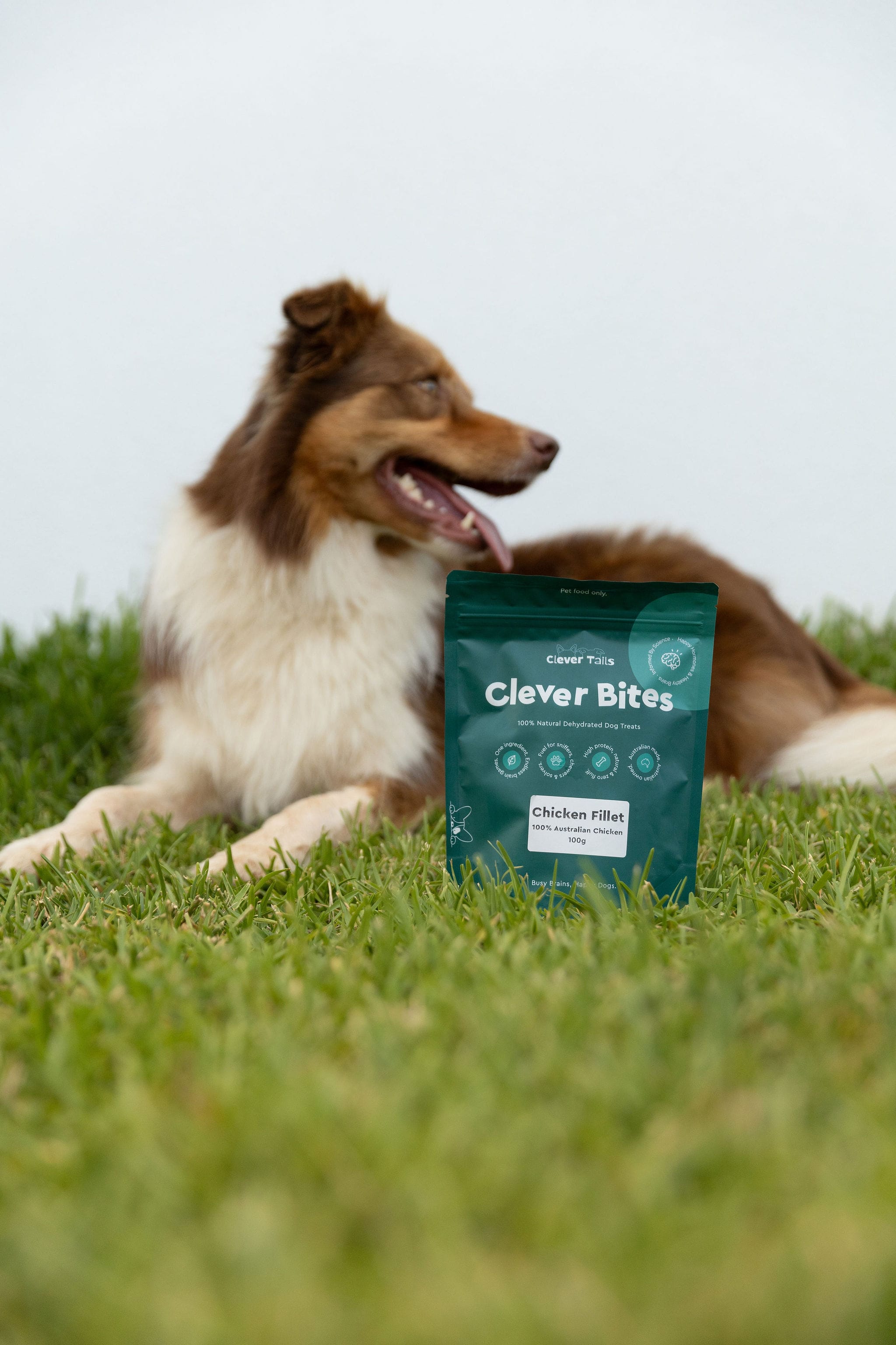 Clever Bites - Natural Dog Treats