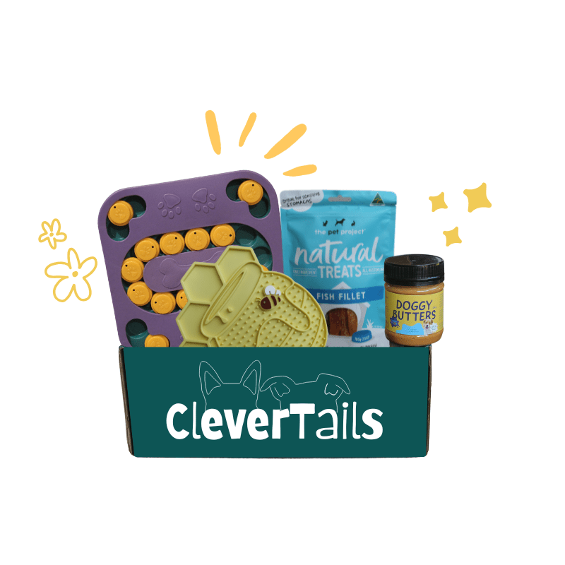 Clever Dog Bundle Box