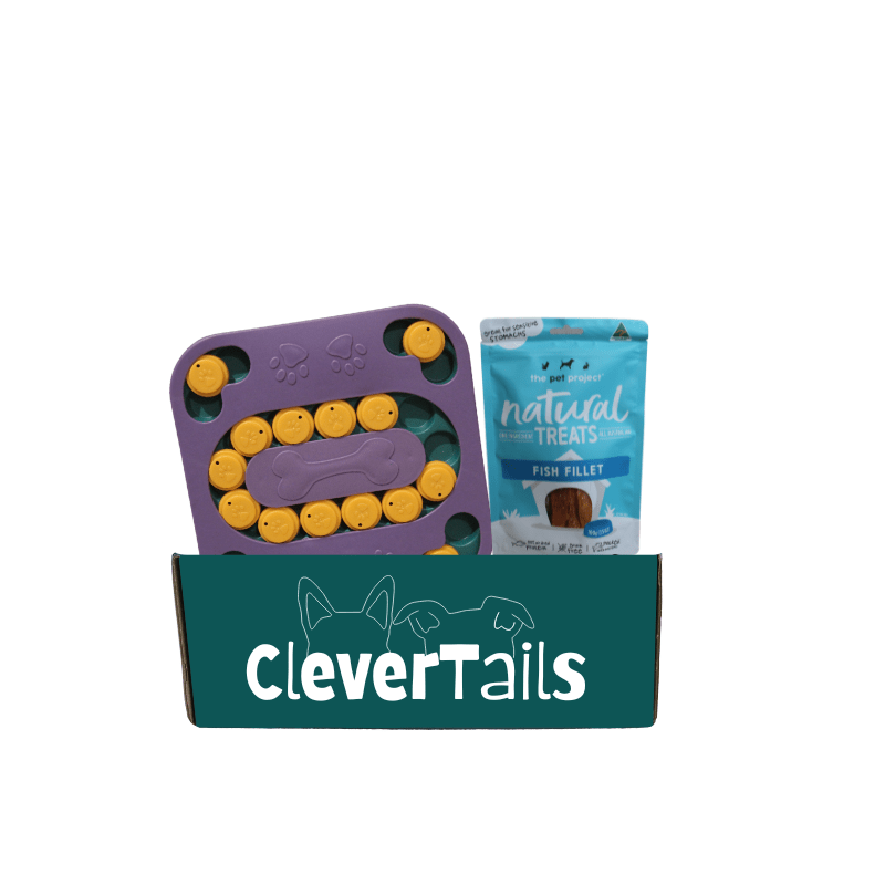 Clever Dog Puzzle Bundle