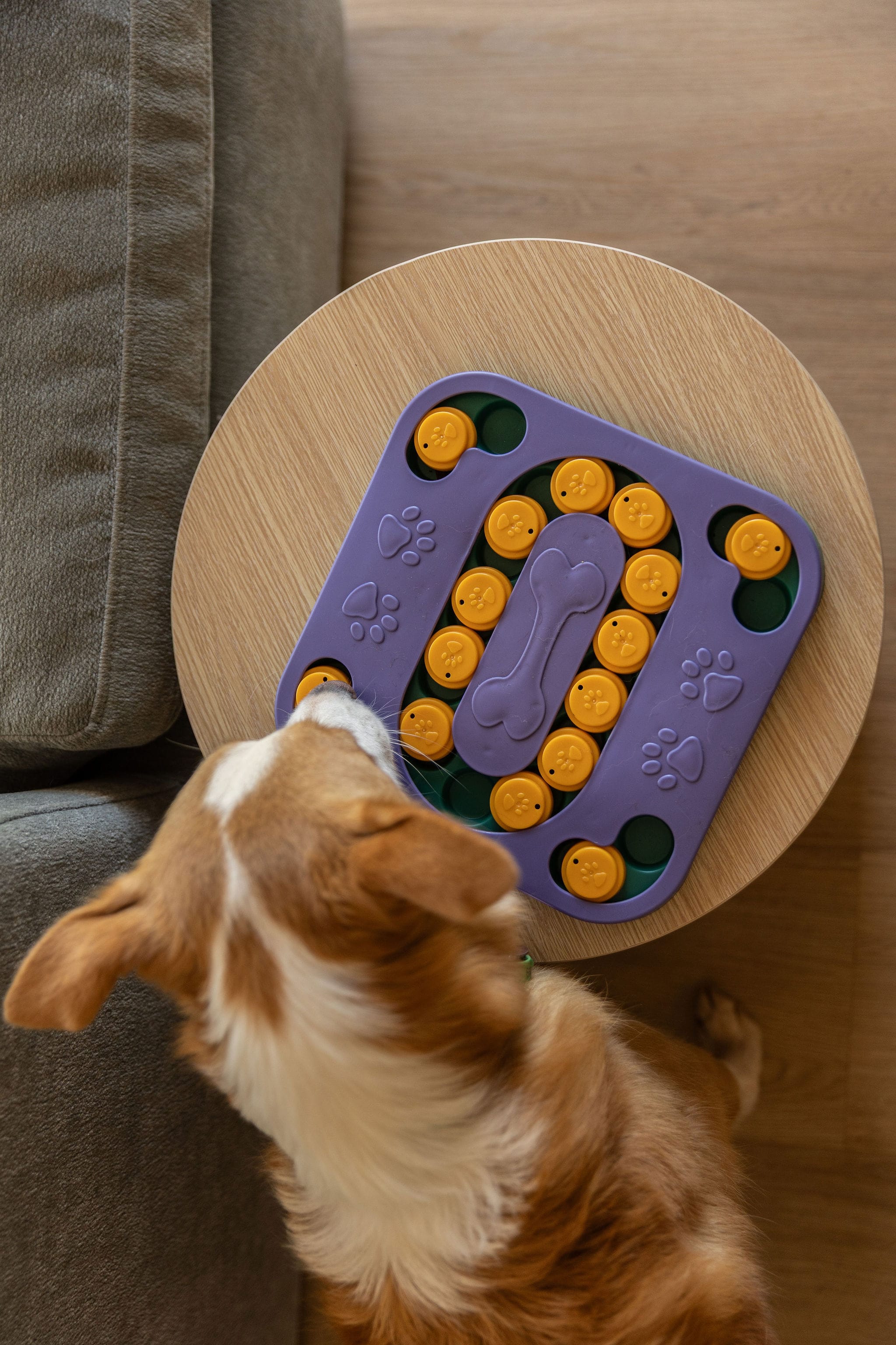 Mentally Stimulating Dog Puzzle Toy Enrichment Toy for Dogs