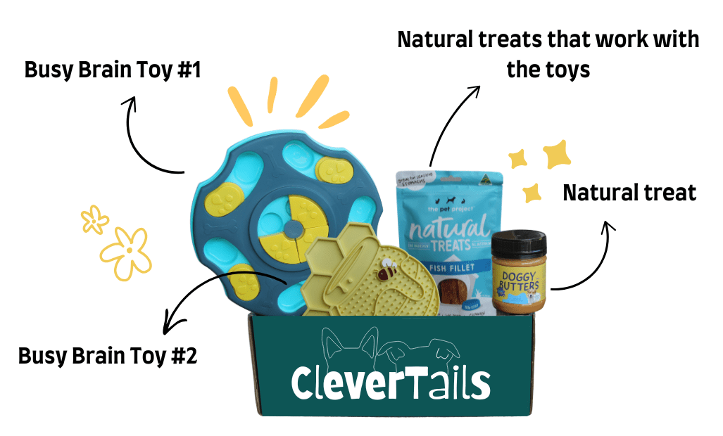 Dog Puzzle & Treat Bundle Box - Level 1