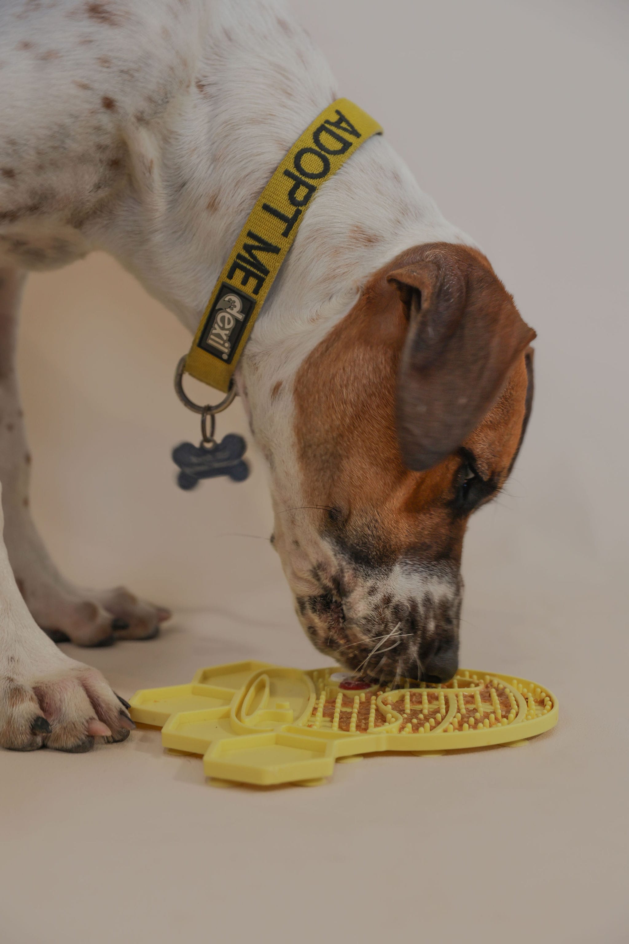 Puppy Dog Enrichment Toy Box Lick Mat