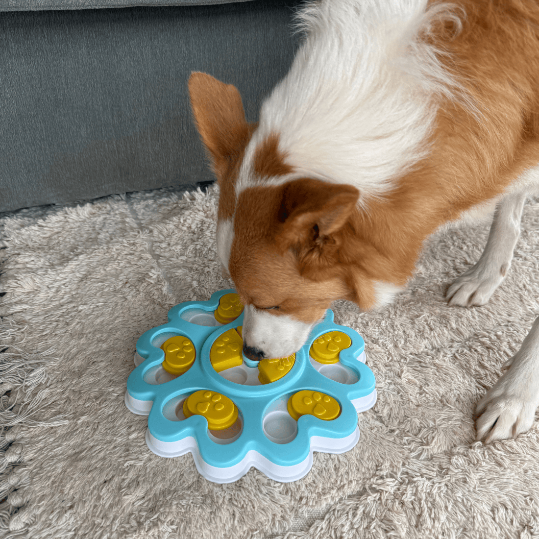 CleverTails Puppy Puzzle Toy & Treat Bundle
