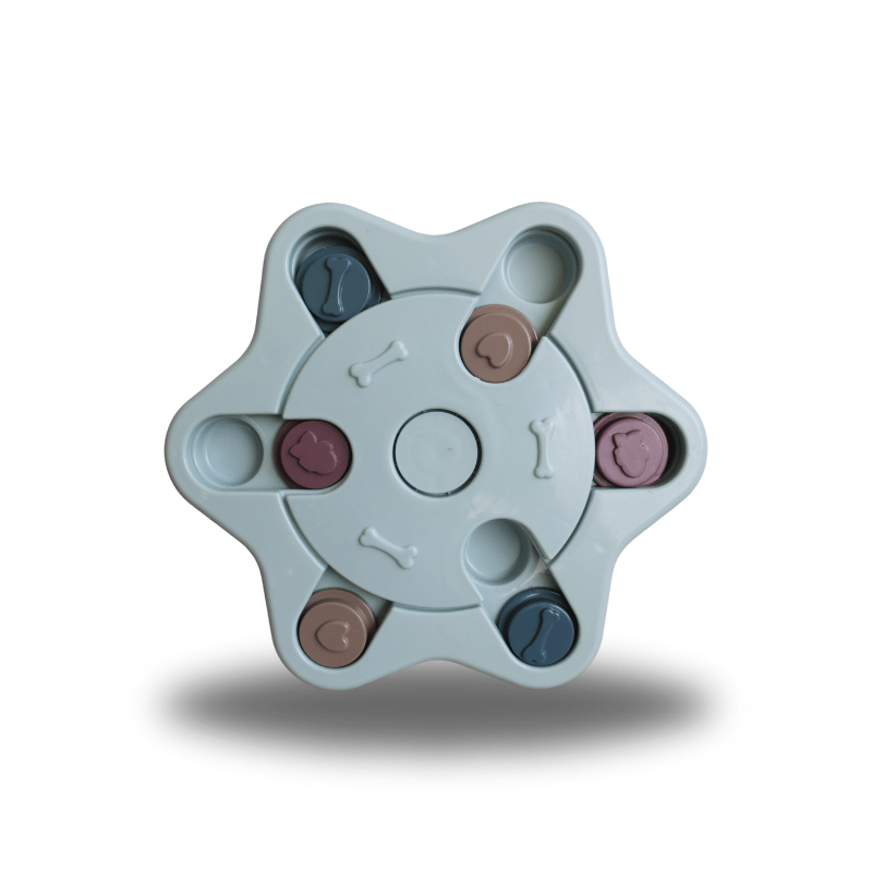 Puzzle Bundle Hexagon Toy