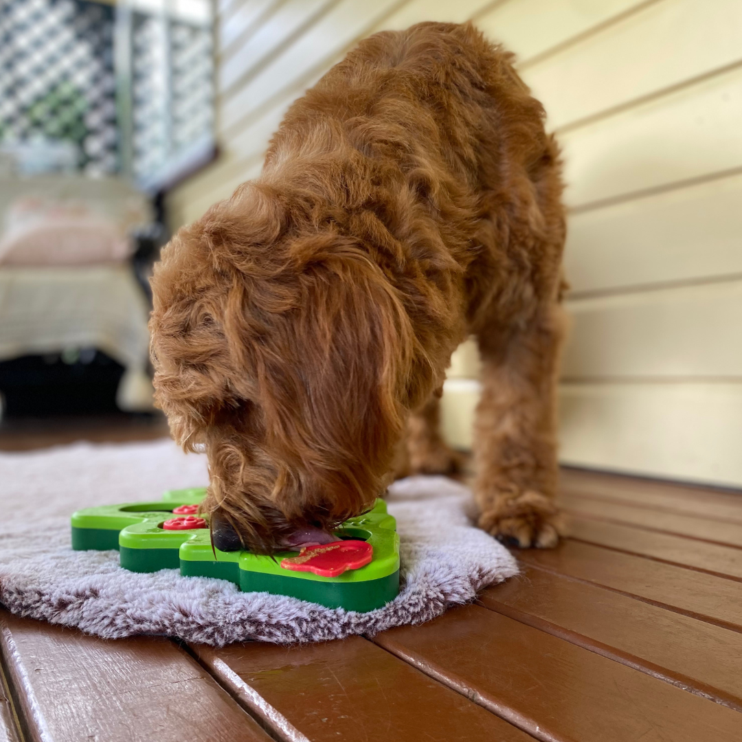 Christmas Tree Puzzle Bundle