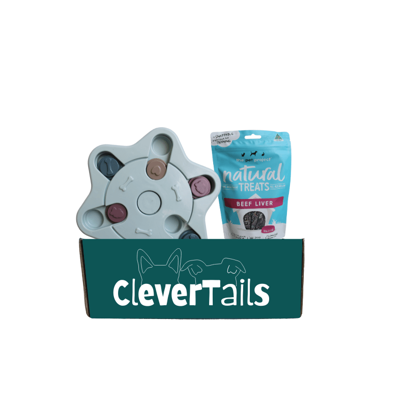 Dog Stimulation Toys