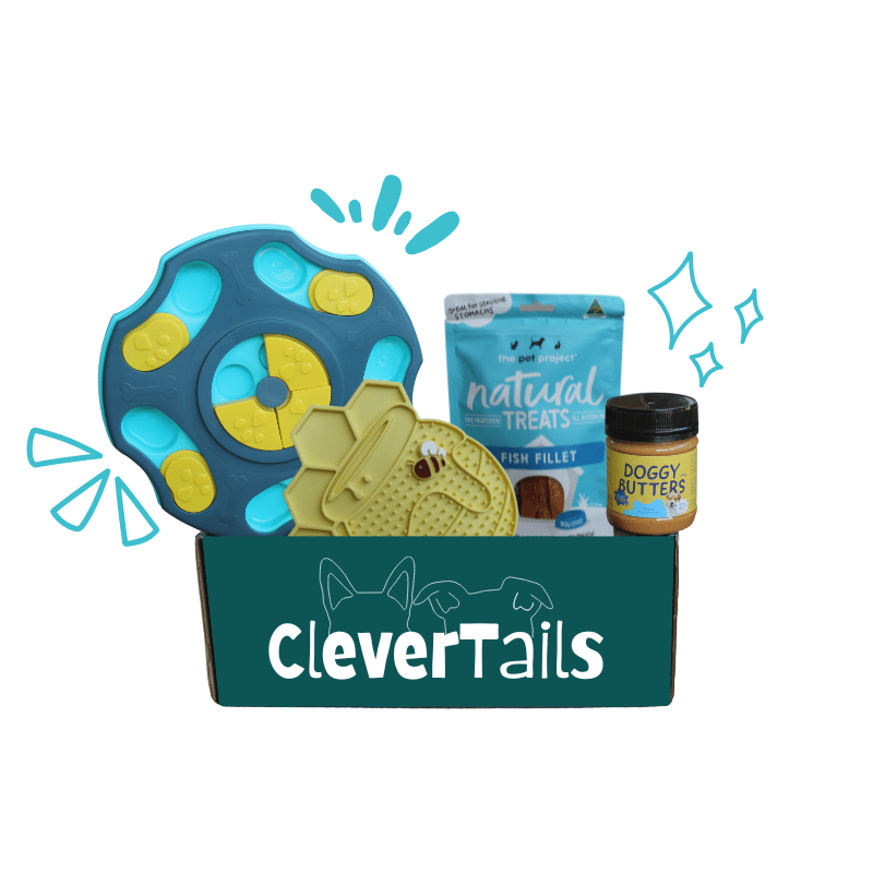 Young Pup Dog Bundle Box