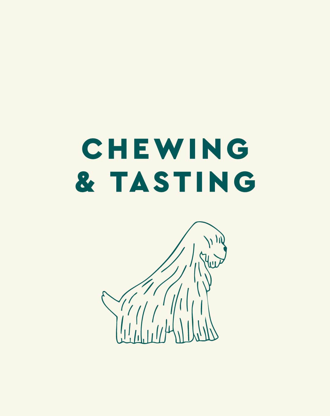 Chewing & Tasting