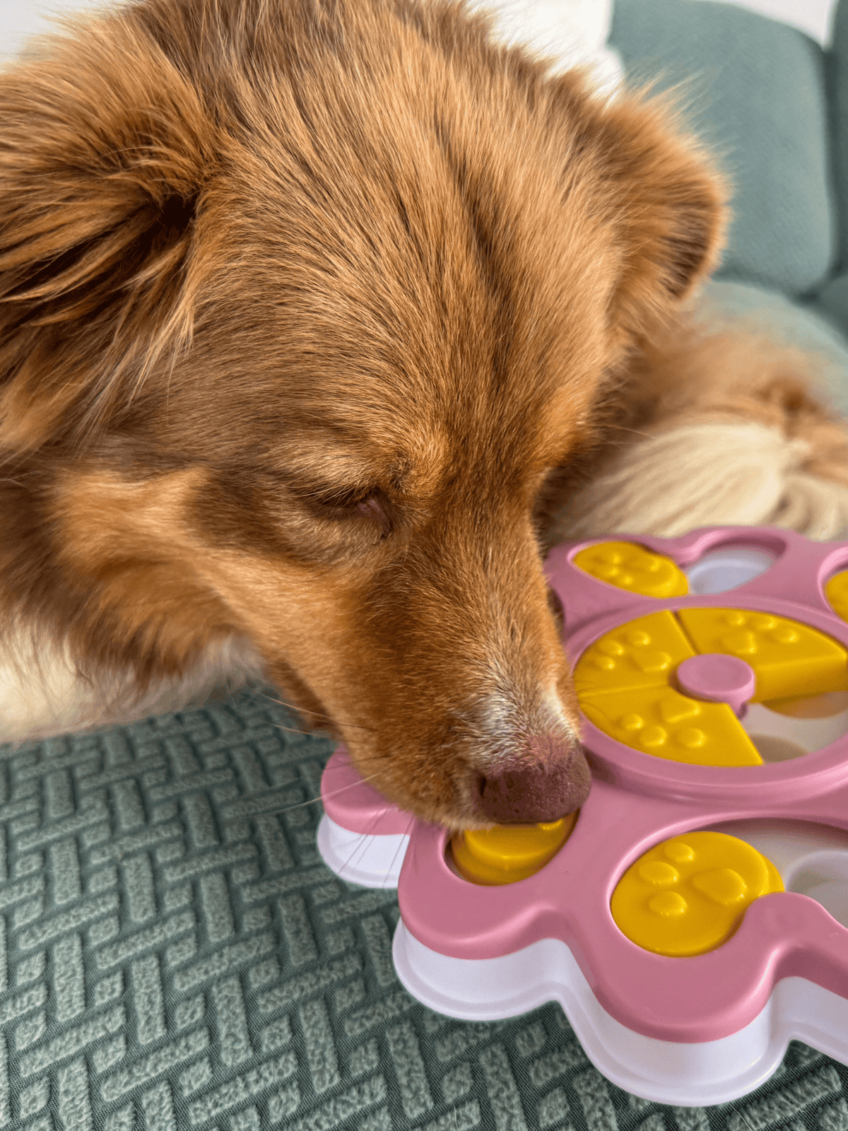 My Store Puppy Dog Puzzle Toy