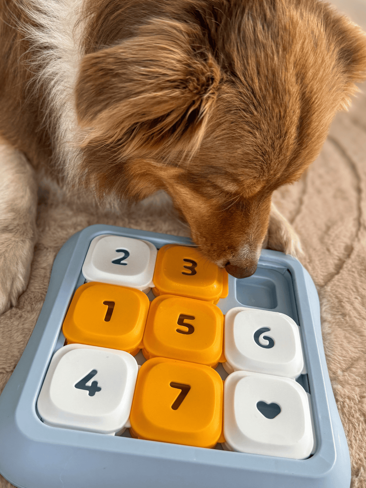 My Store Interactive Sliding Dog Puzzle Toy