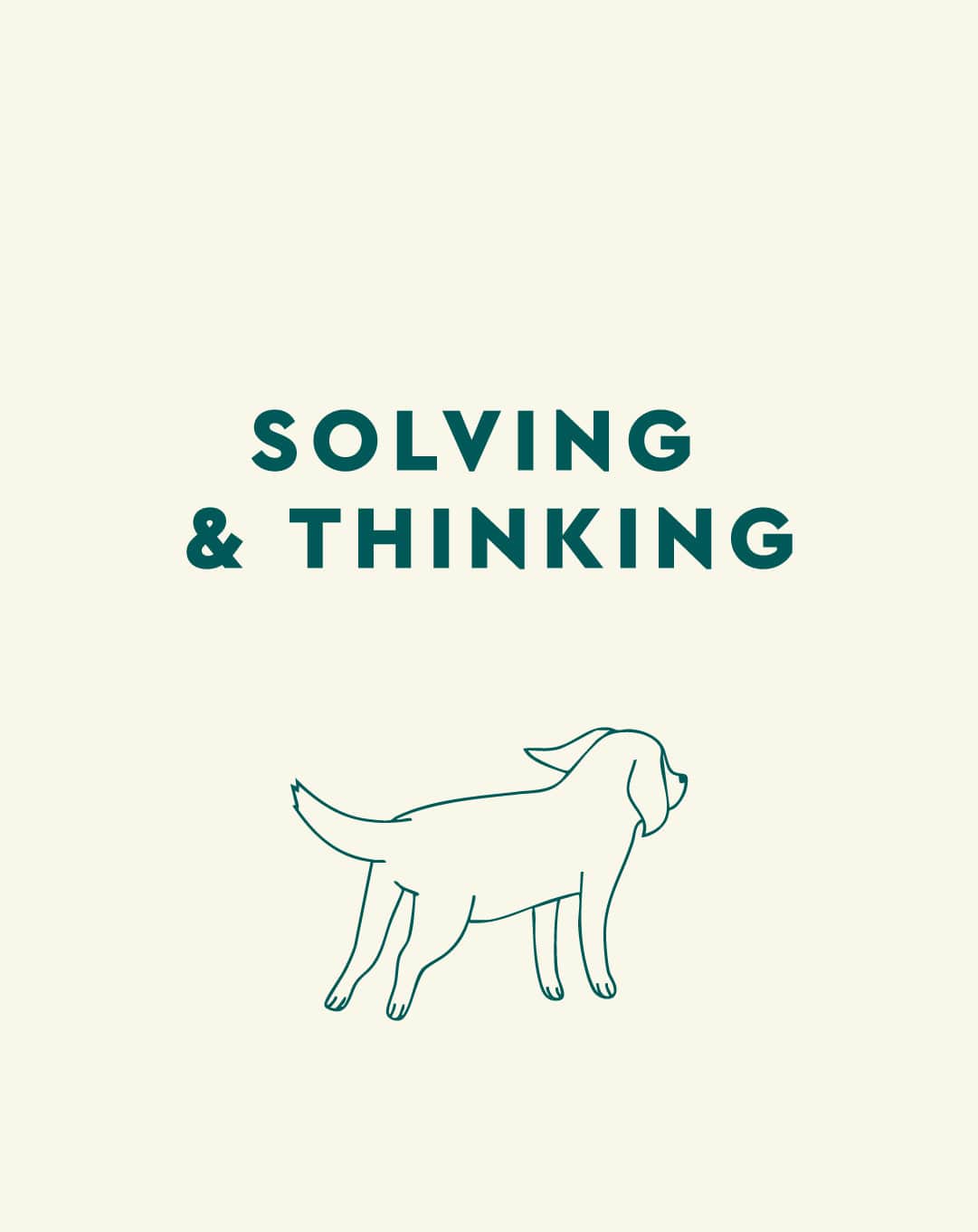 Solving & Thinking