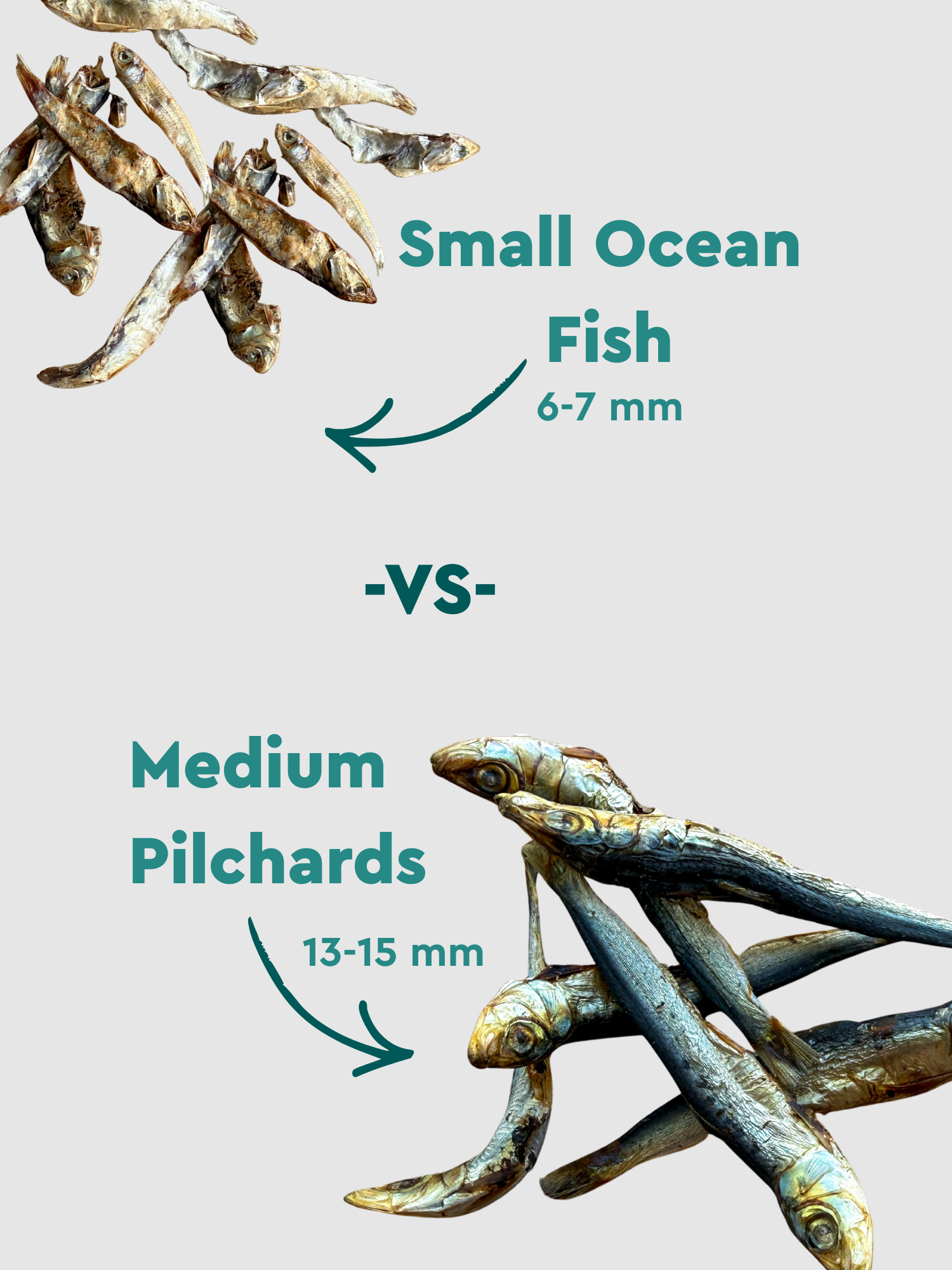 Clever Bites - Natural Dog Treats