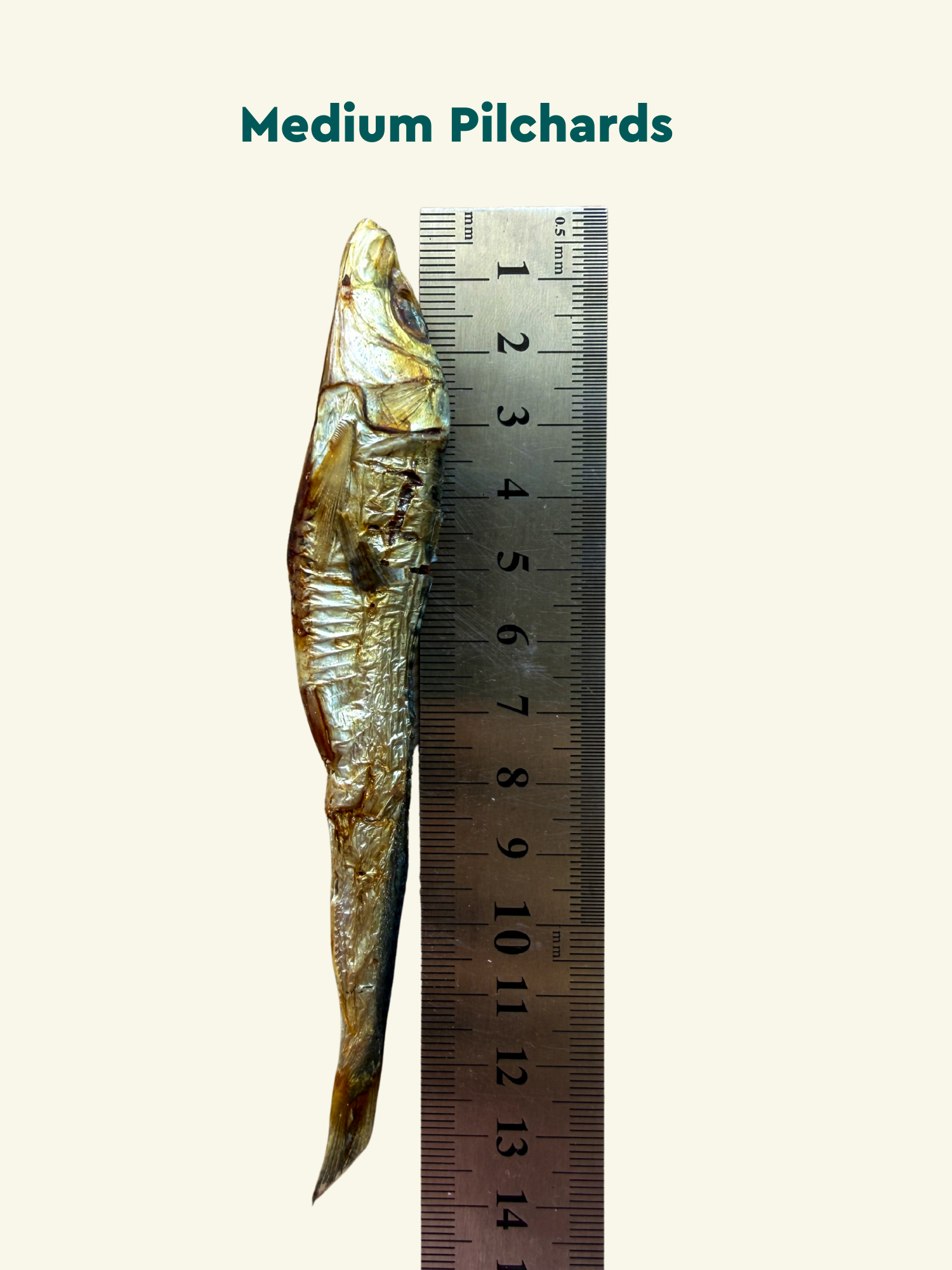 Clever Bites - Natural Dog Treats