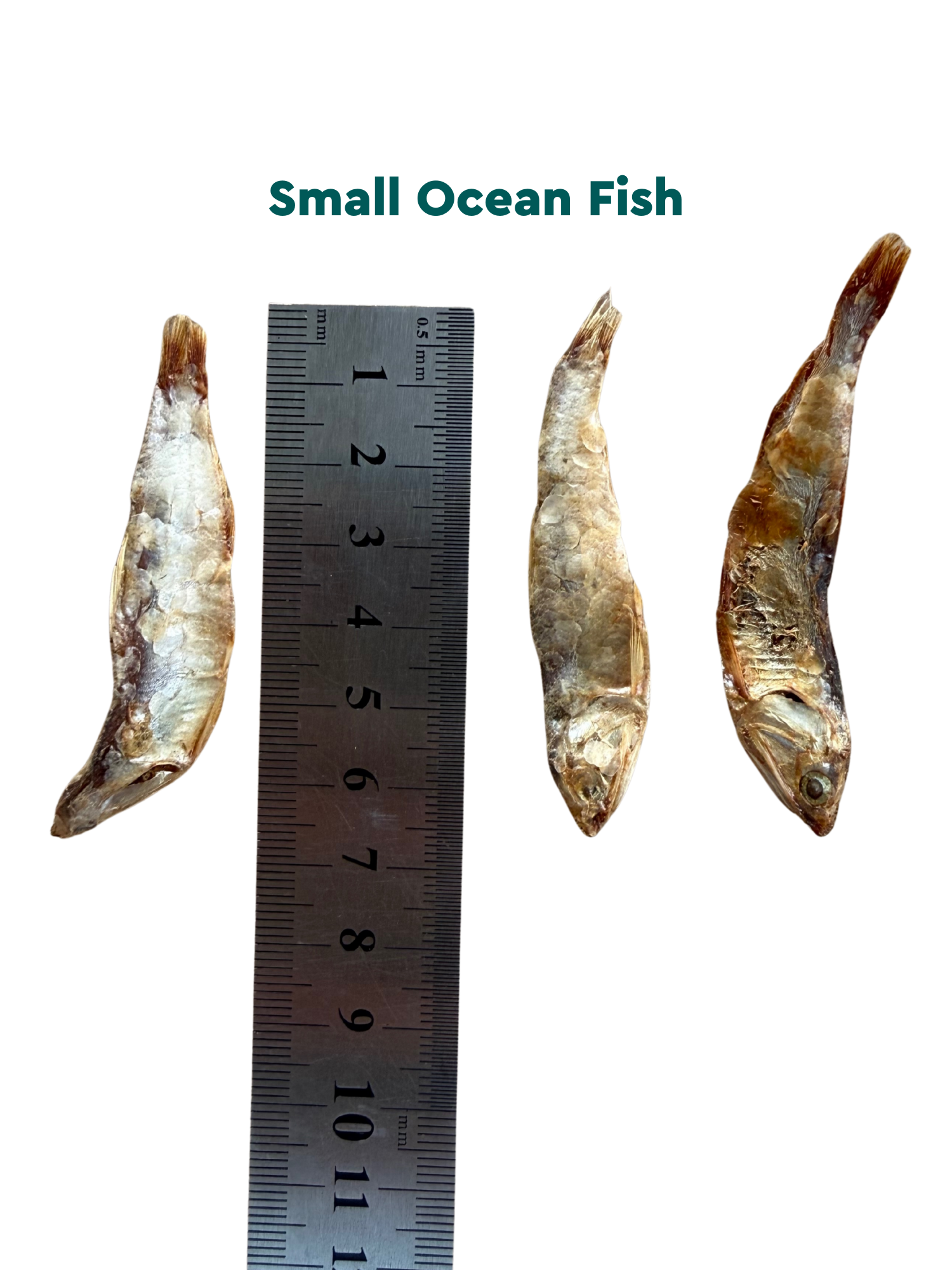 Puppy Ready: Puzzle and Treat Bundle