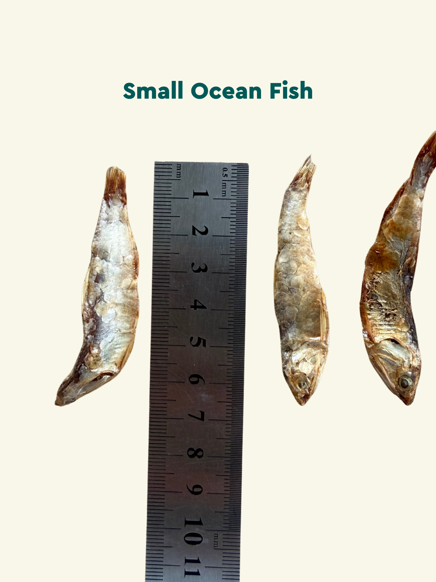 Clever Bites - Natural Dog Treats