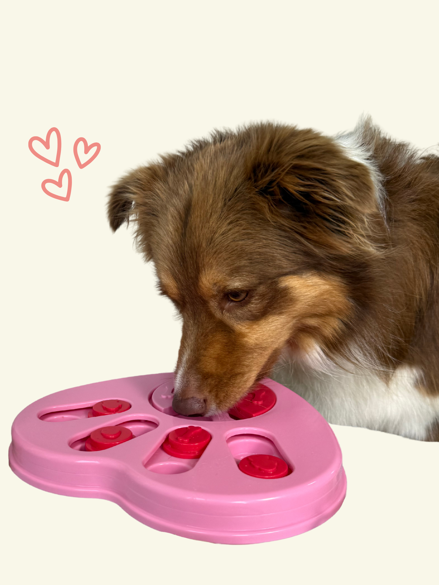Limited Edition Valentine's Heart Puzzle