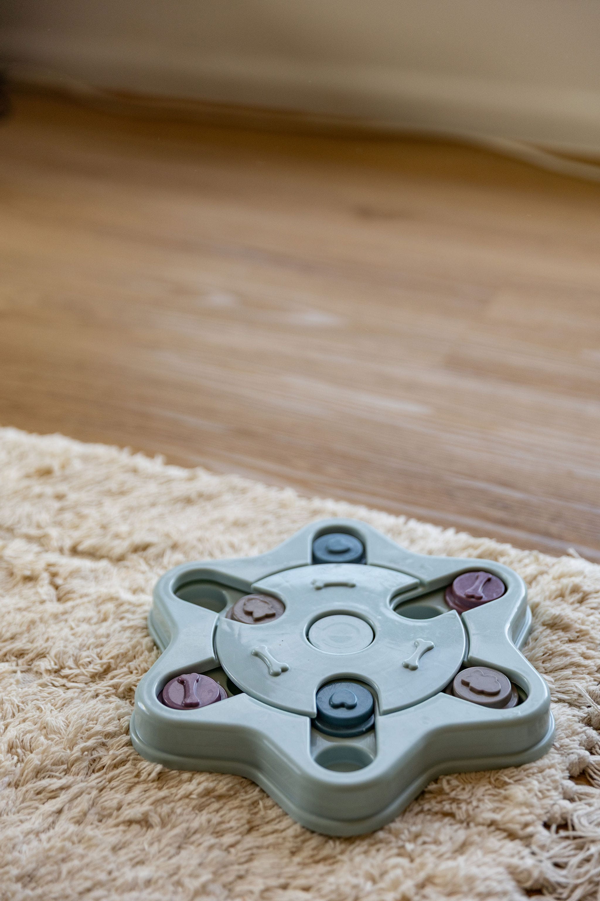 My Store Advanced Dog Puzzle Toy