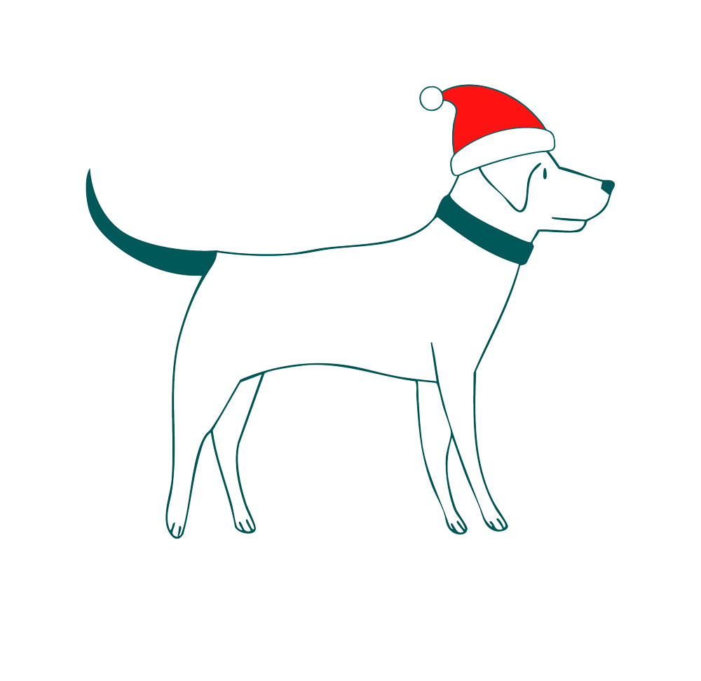 Enrichment isn’t Extra, it’s <em>Essential.</em>