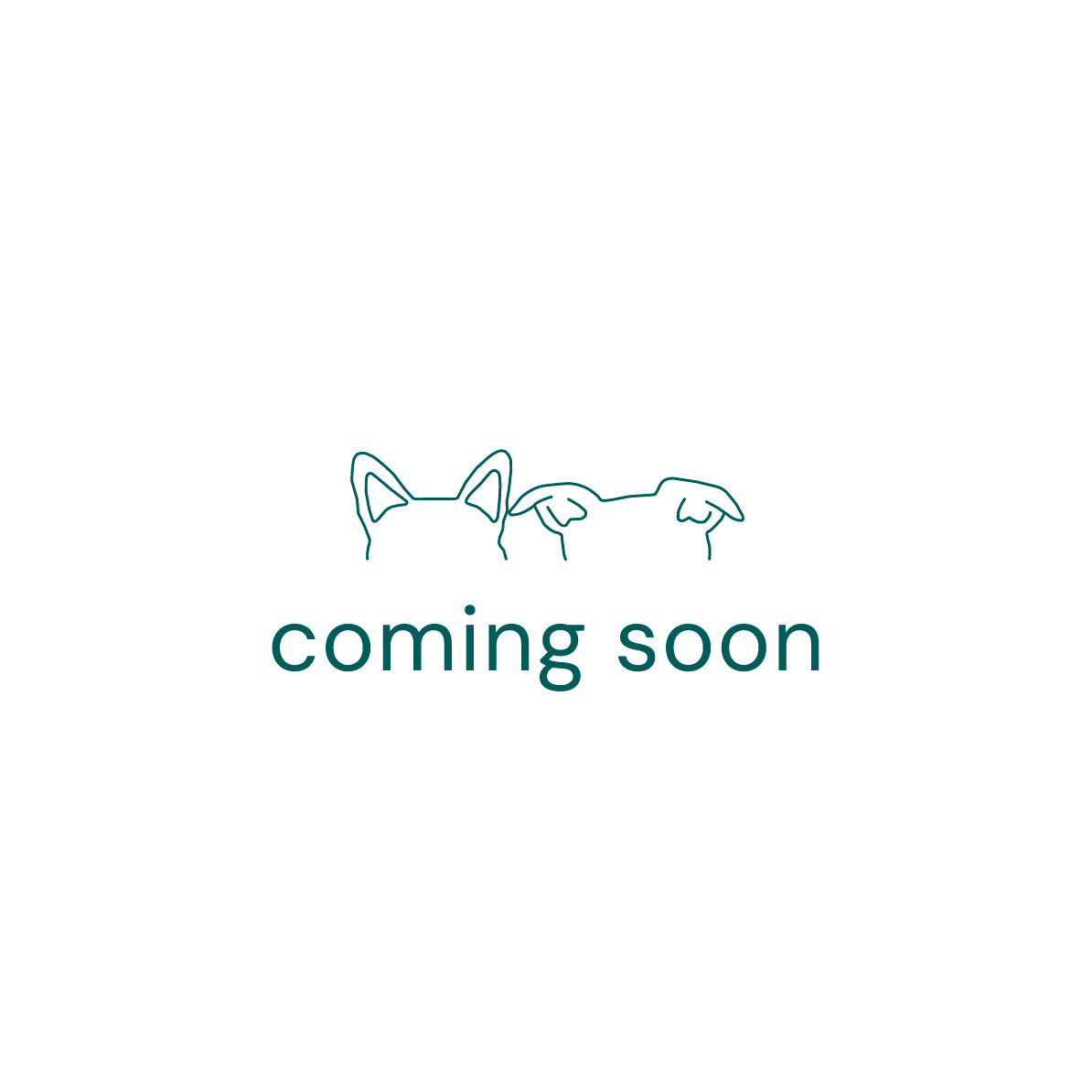 Coming Soon to CleverTails