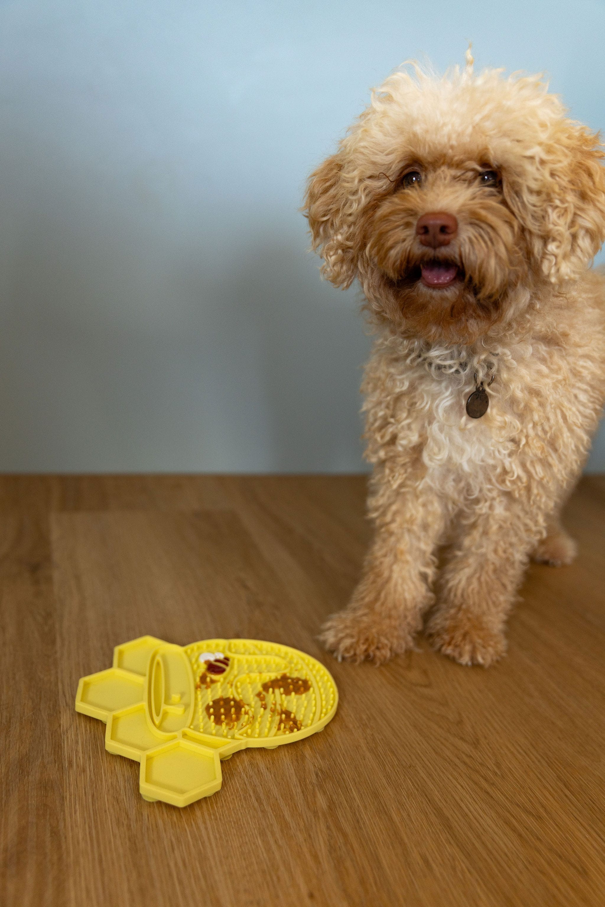 CleverTails Honeycomb Lick Mat for Dogs