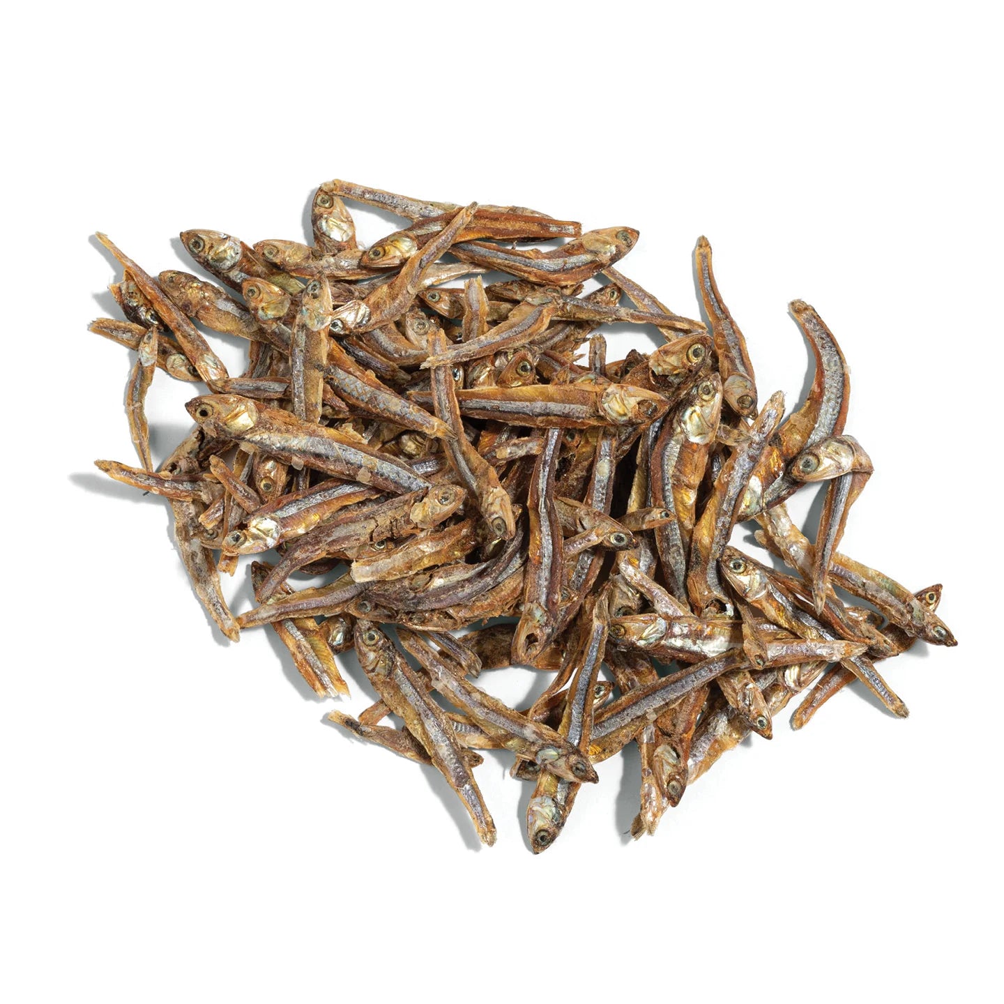 Loose Ocean Fish Treats for Top Dog Puzzle