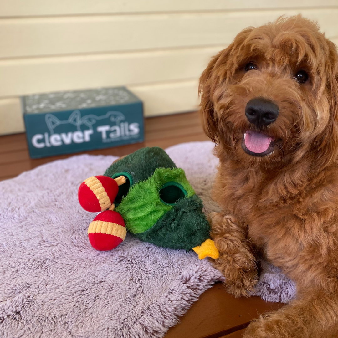 Christmas Tree - Bundle