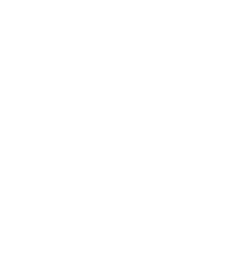 Custom icon