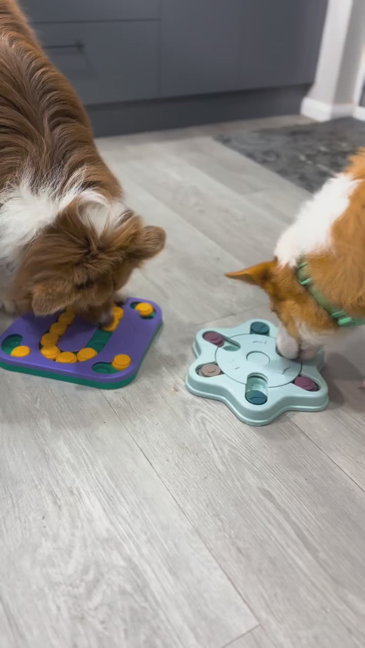Natural Dog Treats Pack