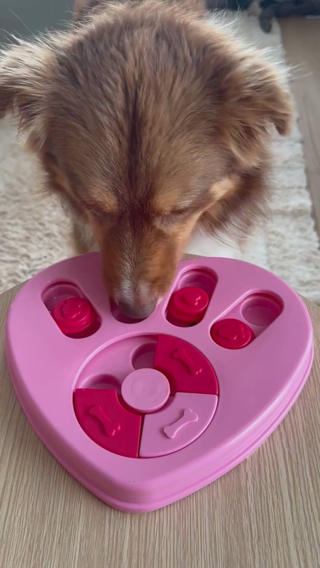 Limited Edition Valentine's Heart Puzzle