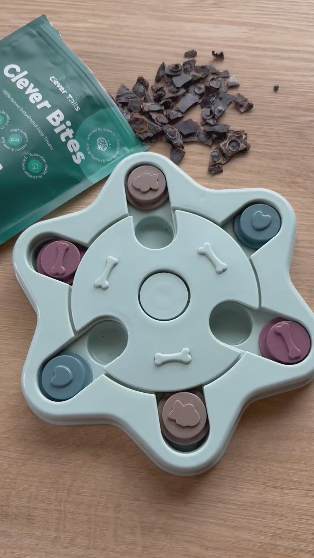 Canine Einstein — Level 3 Advanced Dog Puzzle