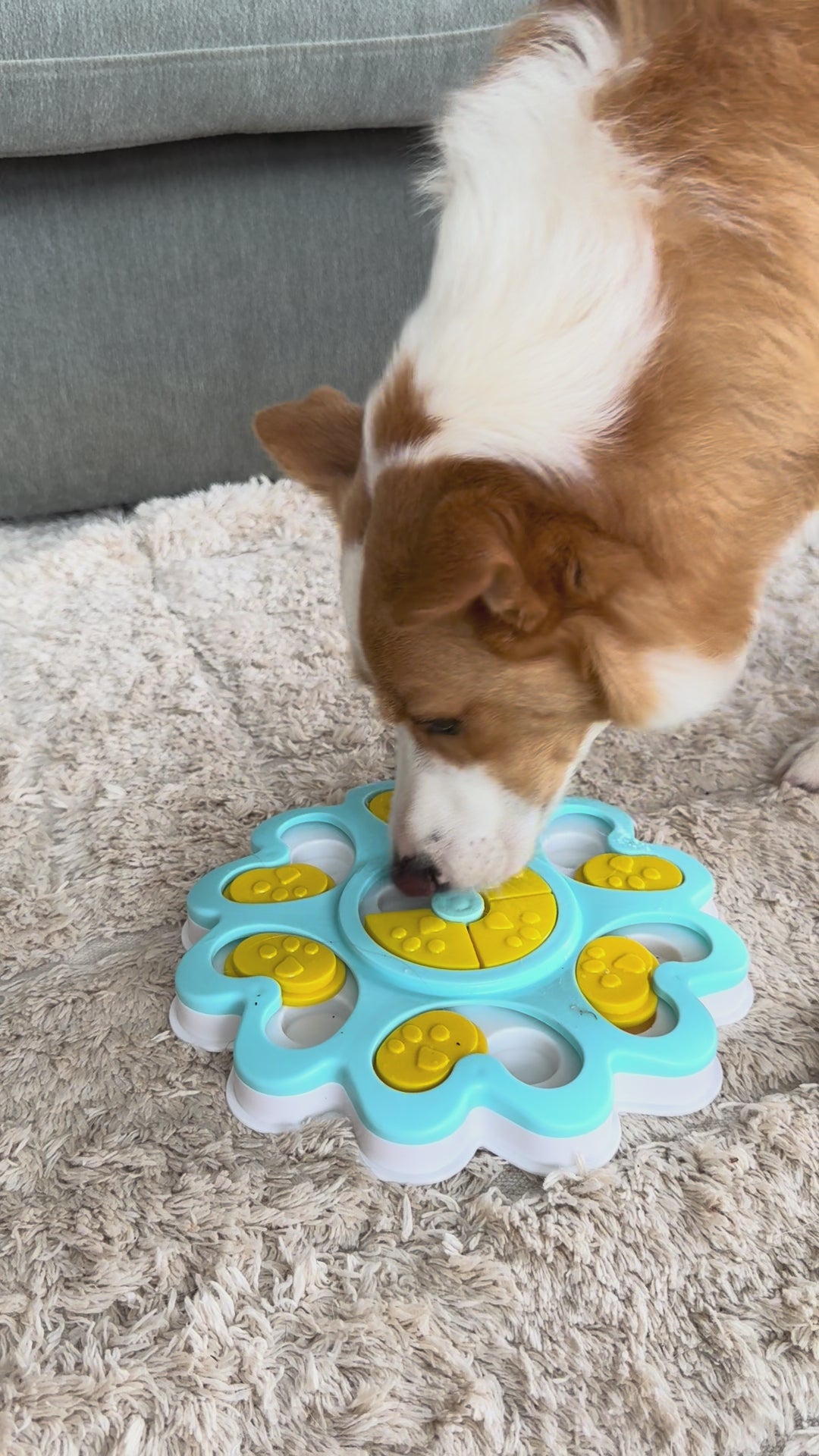 Dog Puzzle Level 1 - Puppy ready