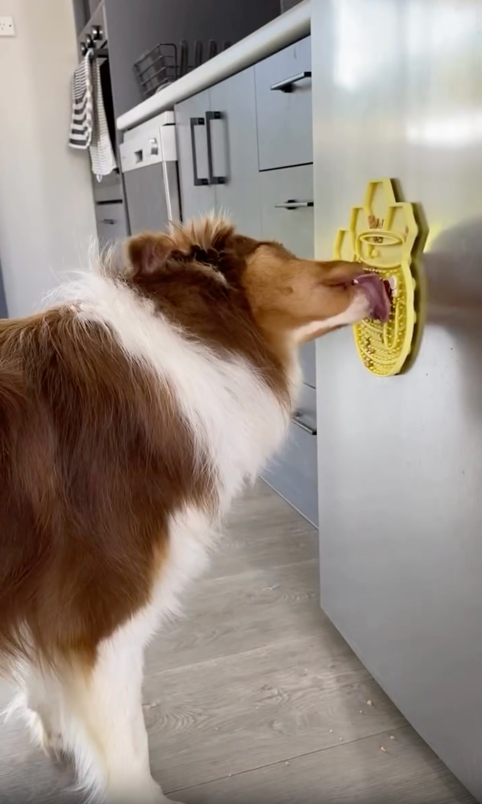 Doggy Butter